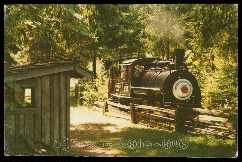 Forest Museum Park - Vancouver Island