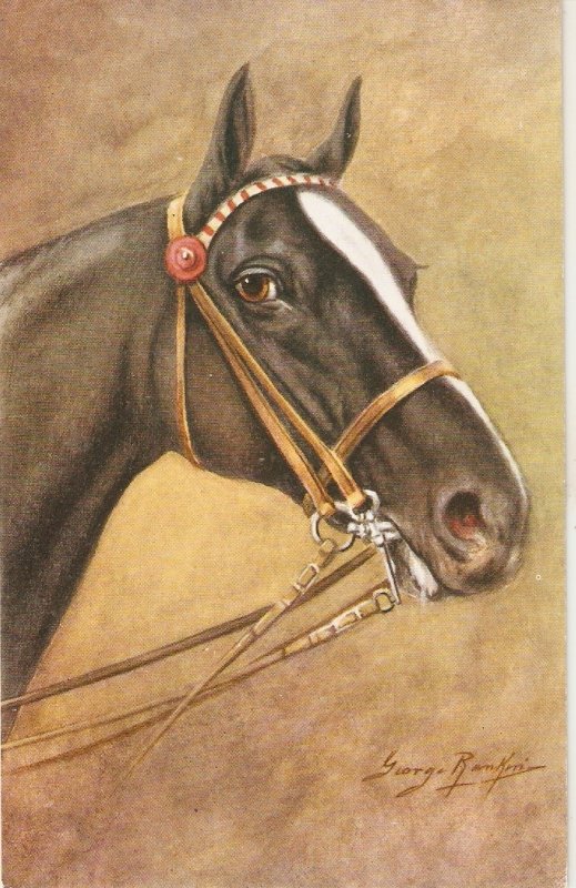 George Ranking. Head of horse Vintage Salmon art  postcard