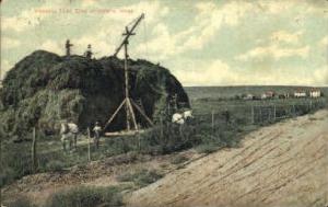 Stacking Third Crop of Alfalfa Misc ID 1910