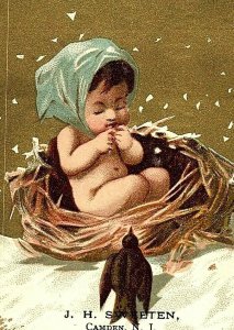 Lot Of 2 1880's Rudolph's Vienna Homemade Bread Rolls Cherubs Bird Nest P155