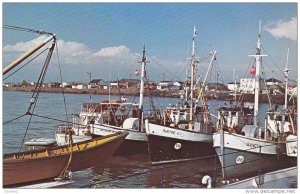 Fishing Fleet at the old Sept-Lles Pier,  Sept-Iles,  Quebec,  Canada,  40-60s