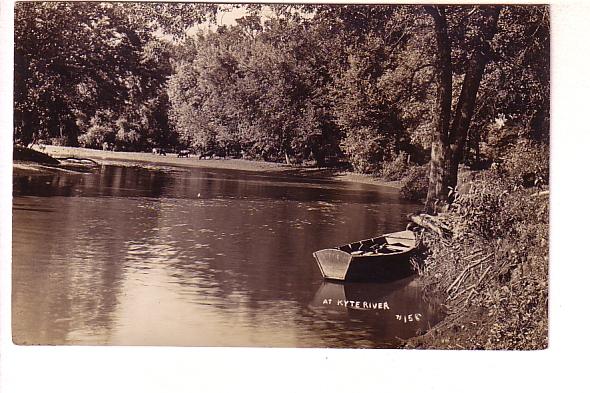 Real Photo, Cows on Shore, Rowboat, Kyte River, Illinois