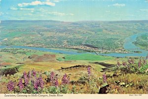 LEWISTON ID~GATEWAY TO HELLS CANYON-SNAKE RIVER~AERIAL VIEW POSTCARD