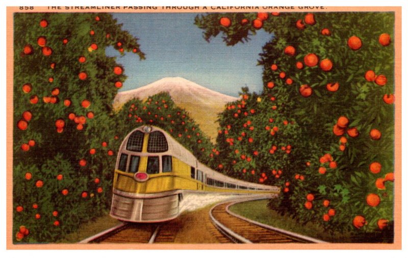 Streamliner passing through California orange Grove