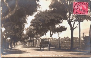 Egypt Alexandria Citadel of Qaitbay Vintage Postcard C102