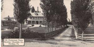 Hershey Pennsylvania Old Homestead Farm Chocolate Co Antique Postcard K25617