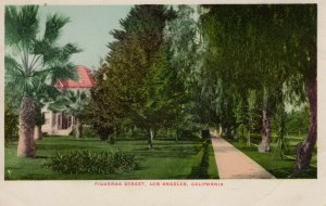 Los Angeles, California - The houses on tree-lined Figueroa Street - c1905