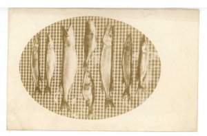 Fishing - Eight Fish Waiting For Dinner      *RPPC