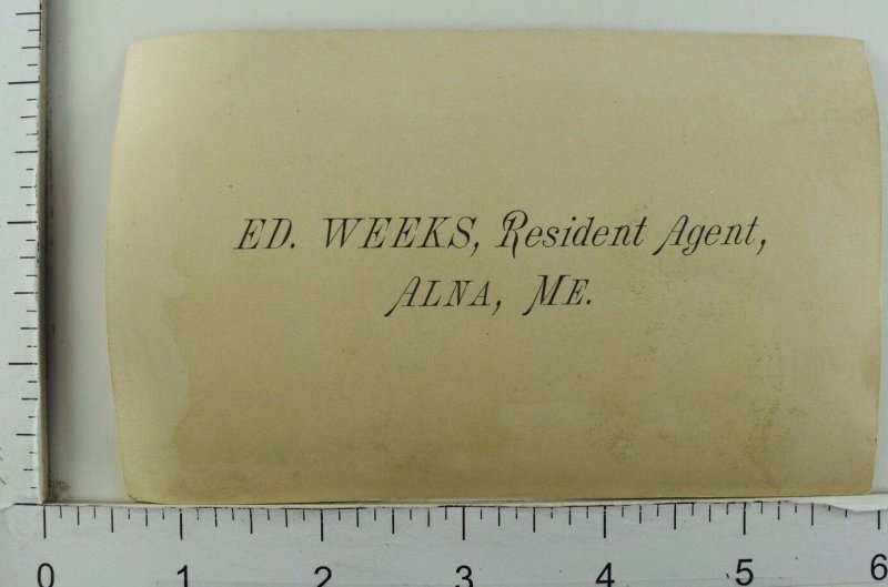 Phoenix Insurance Co. Ed. Weeks Resident Agent Alna, ME Girl With Braid P50