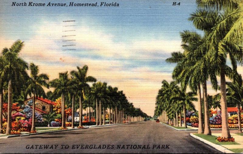 Florida Homestead North Krome Avenue 1951