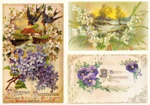 3~ BIRTHDAY GREETING Postcards  PURPLE & WHITE FLOWERS~BIRDS~FARM SCENE  Vintage