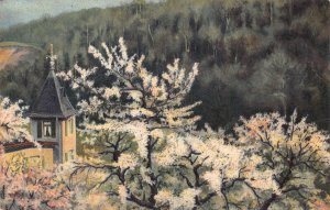 A096 Painting 1907 Blossom branches of trees Landscape vintage postcard