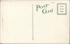 Palm Beach Florida FL Birdseye View 1910s-30s Postcard