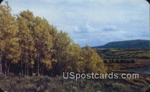 Indian Summer - Rocky Mountains, Colorado CO  