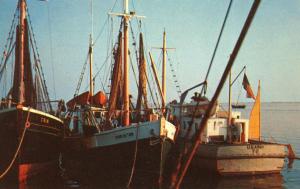NJ - Cape May. Fishing Boats
