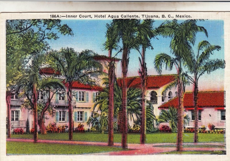 P1961 vintage postcard hotel auga trees etc callente tijuana B.C. mexico unused
