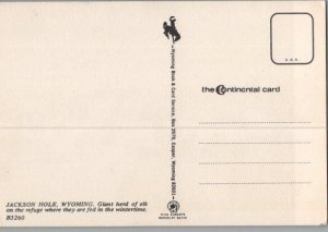 Elk on the Refuge Jackson Wyoming Continental Chrome Postcard