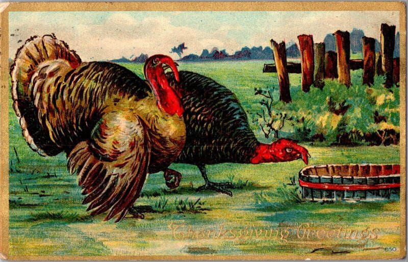 Thanksgiving Greetings, Turkeys Embossed Vintage Postcard N70
