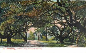D/B Oaks at University Grounds Berkeley California CA