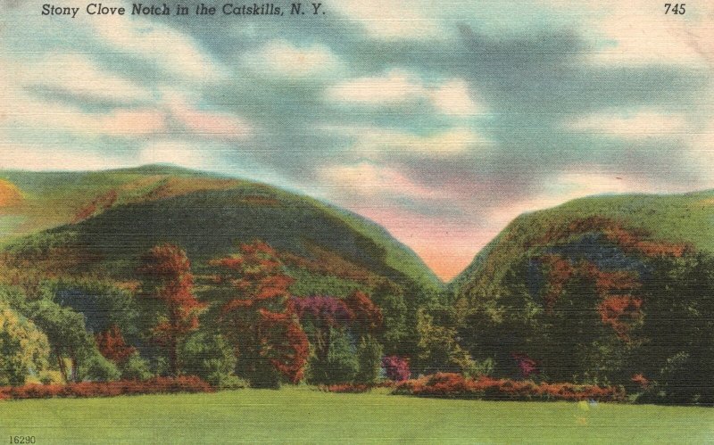Vintage Postcard Autumn Mountain Stony Clove Notch In Catskill Mts. New York