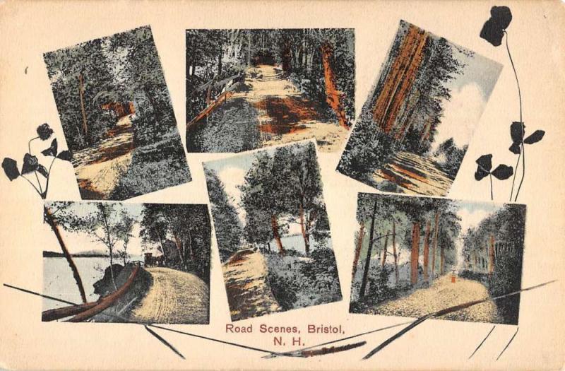 Bristol New Hampshire Road Scene Multiview Antique Postcard K93085