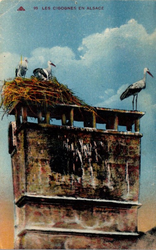Birds Storks Les Cigognes En Alsace 1933