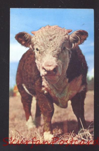 BRISTOW OKLAHOMA ROUTE 66 J&J EAT SHOP RESTAURANT ADVERTISING POSTCARD BULL