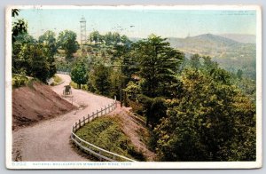 National Boulevard Missionary Ridge Tennessee Pines Pathways Mountain Postcard