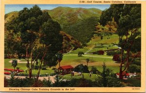 Postcard CA Santa Catalina Golf Course Chicago Cubs Training Grounds 1940s S83