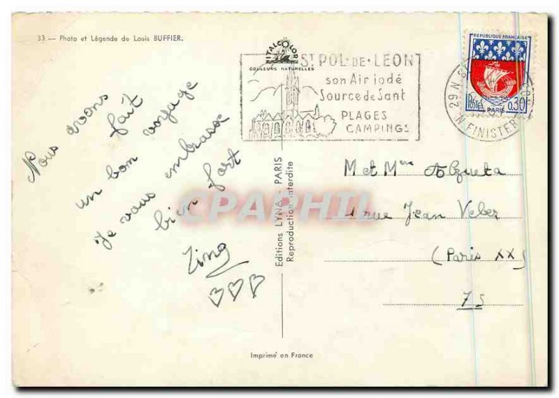 Postcard Modern Calves