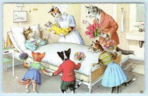 Mainzer DRESSED CATS & Kittens HOSPITAL VISIT New Baby  #4932 Belgium Postcard