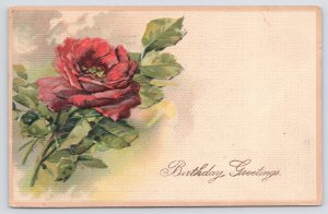 PFB~Birthday~Open Lush Red Rose Arches To Side~Textured~Emboss~#5969~Vintage PC