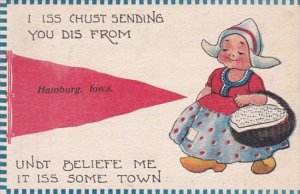 Pennant Series Hamburg Iowa 1913