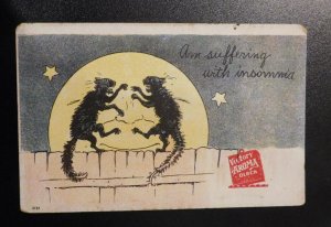 Mint USA Advertising Postcard Victory Chemical Aroma Block Deodorizer Moth