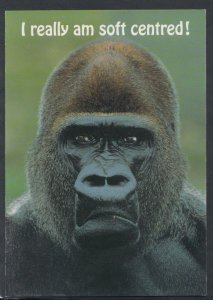 Animals Postcard - Monkeys - Gorilla - I Really am Soft Centred!   RR5022