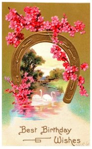 Horseshoe ,  Swans, Birthday