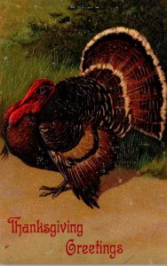 Thanksgiving Greetings With Turkey