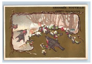 1880s French Coffee Chicoree Nouvelle Colorful Wild Birds Set Of 6 F160
