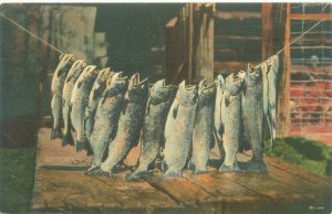 Rhinelander WI String of Fish Linen Postcard Used