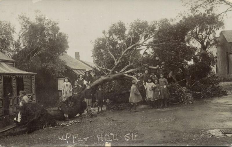 south africa PORT ELIZABETH Upper Hill Street Storm Damage 1913 RPPC