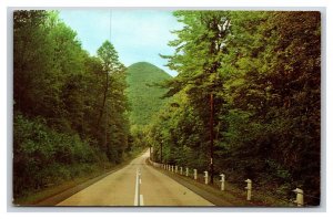 Chocolate Drop Rte 14 Highway Williamsport Pennsylvania UNP Chrome Postcard N20