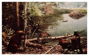 Postcard MUSEUM SCENE Chicago Illinois IL AS1092