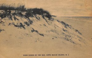 Sand Dunes By The Sea Long Beach Island - Ocean County, New Jersey NJ