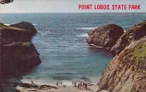 China Cove Point Lobos State Park Carmel California