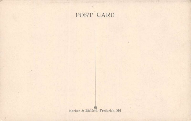 Frederick Maryland Presbyterian Church & Manse, Stonewall Jackson Tree Vintage P