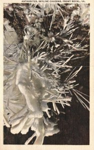 Vintage Postcard Anthodites Orchid Mineral Skyline Caverns Front Royal Virginia