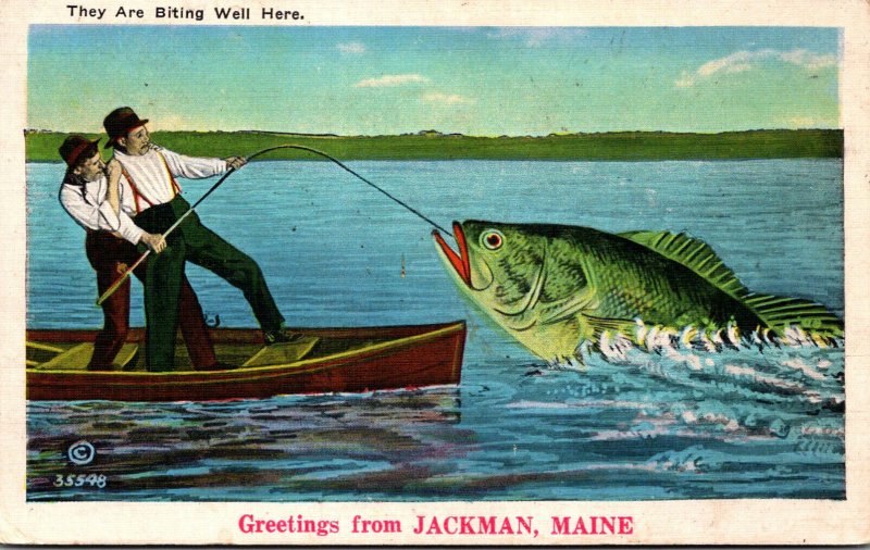 Maine Greetings From Jackman Exageration Men Catching Large Fish 1936