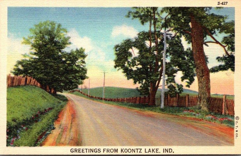 Indiana Greetings From Koontz Lake Curteich