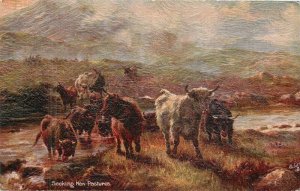 UK Scotland Seeking New Pasture artist impression Tuck #9441 Postcard 22-7941