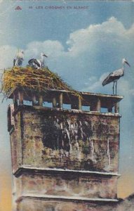 France Alsace Nid De Cigognes Storks 1933